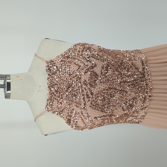 Cachet Sequin Pleated Mesh Maxi Dress Tan Rose Gold 6 evening formal wedding - Picture 3 of 8